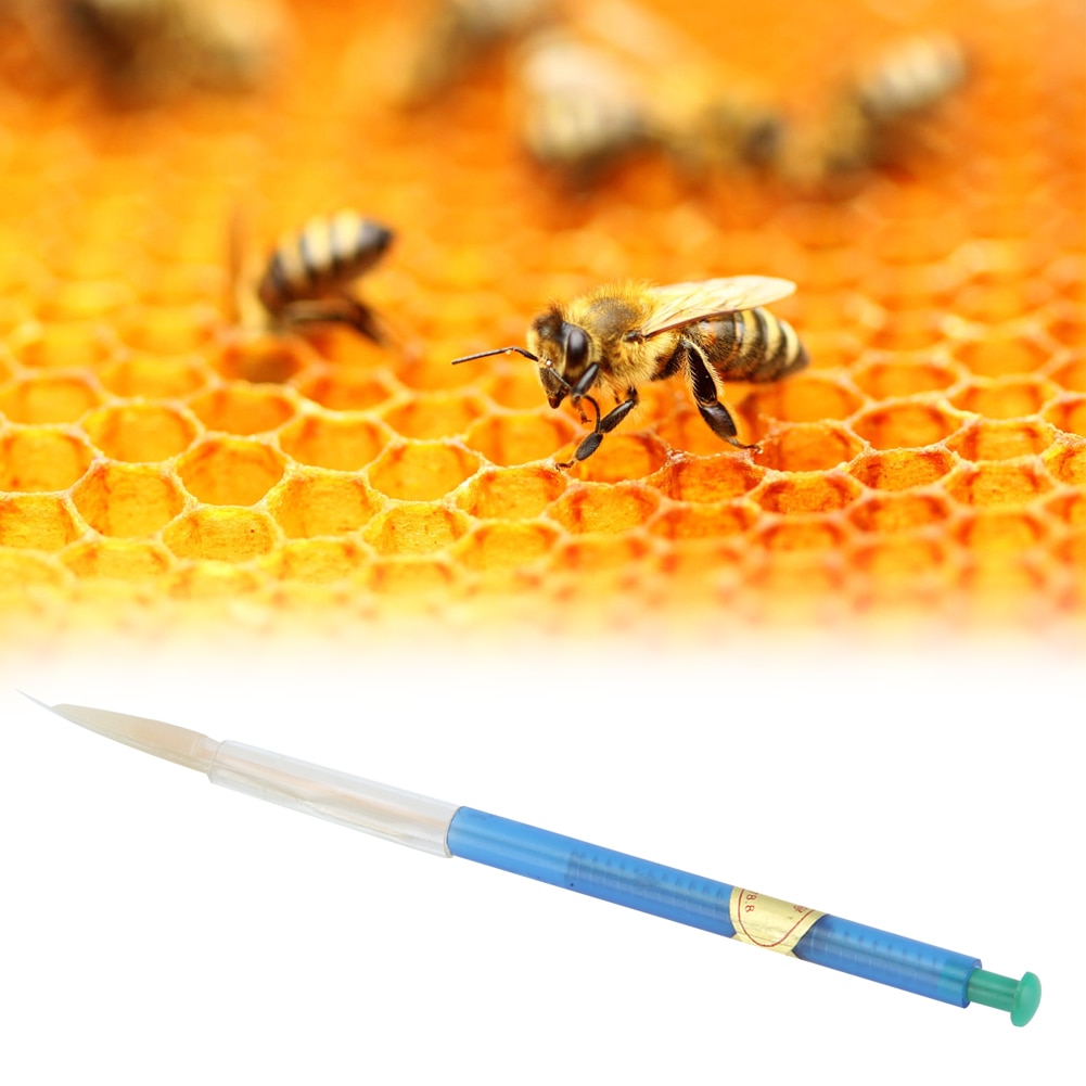 Névtábla 4Db Méhecske Lárvák Behúzható Ojtó Eszköz Méhészeti Neveléstechnikai Eszközökhöz Rovar Tűtenyésztők Szerszám