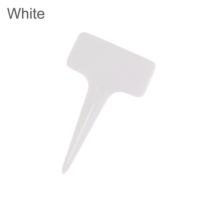 50pcs white 2
