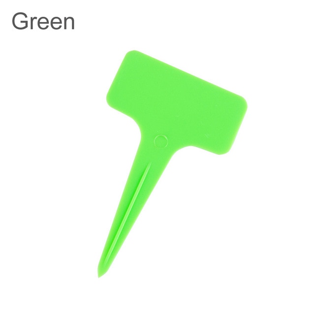 50pcs green 2