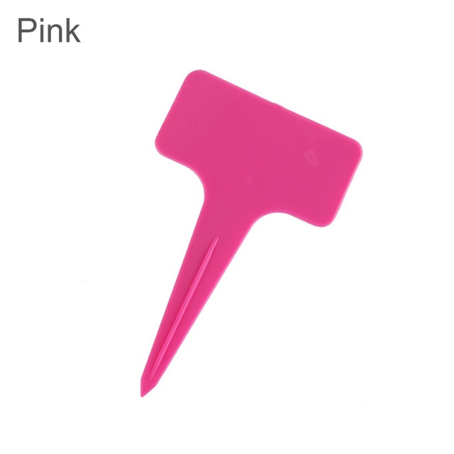 50pcs pink 2