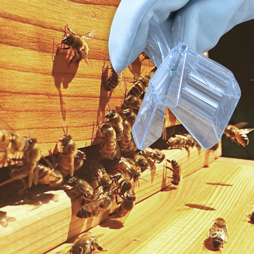 5Db Műanyag Királynő Ketrec Csipesz Méhfogó Méhész Felszerelés Méhészeti Eszközök