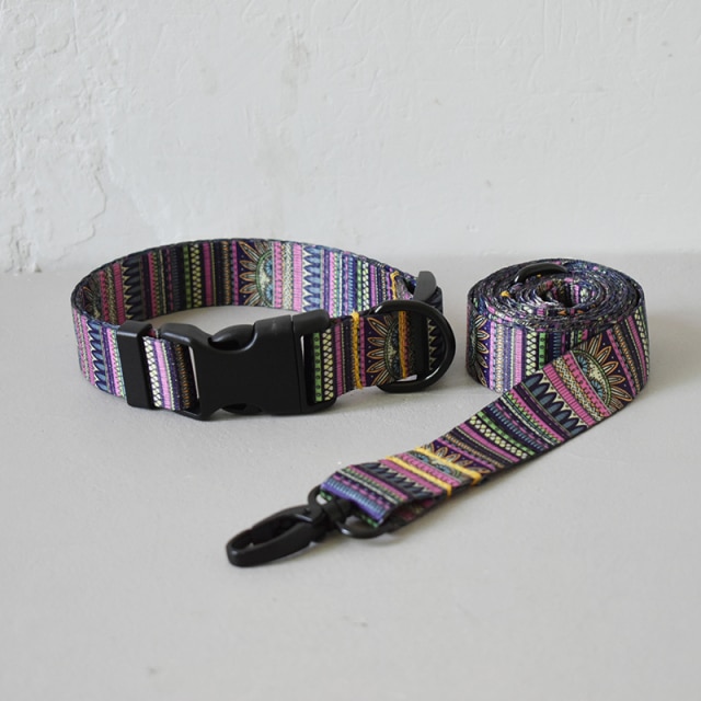 collar and leash set-173