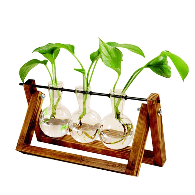 Terrárium Creative Hydroponic Plant Átlátszó Váza Fából Készült Keret Decoratio Glass Asztali Bonsai Dekoráció