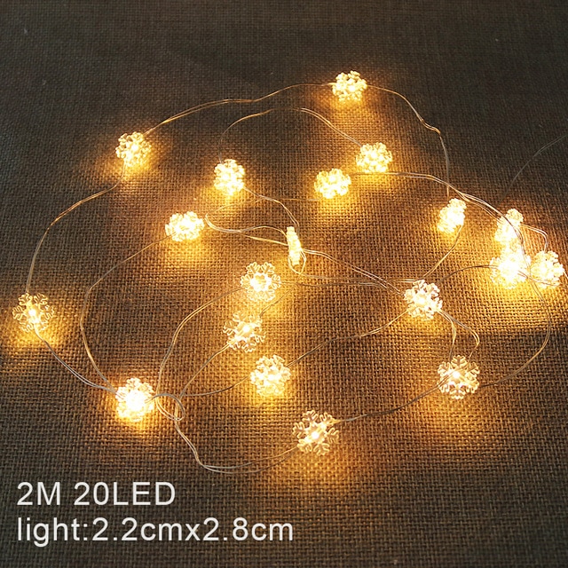 2M 20LED-202418806