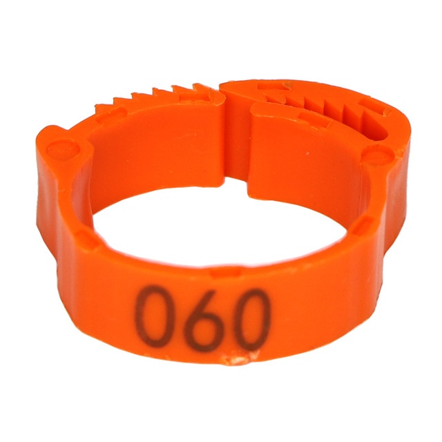 Orange 30PCS