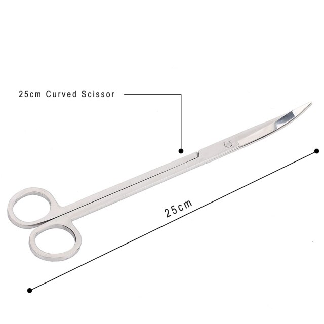 25cm Curve Scissors