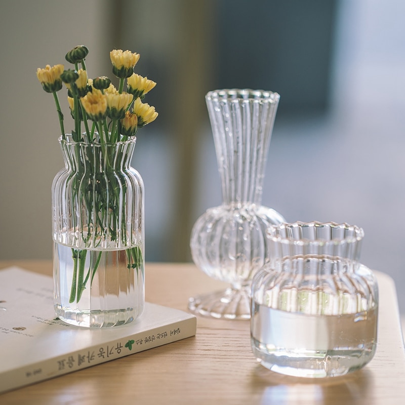 Északi Üveg Virág Váza Buborék Palack Alakú Lakberendezés Kreatív Átlátszó Hidroponikus Esküvői Asztal Dekoráció