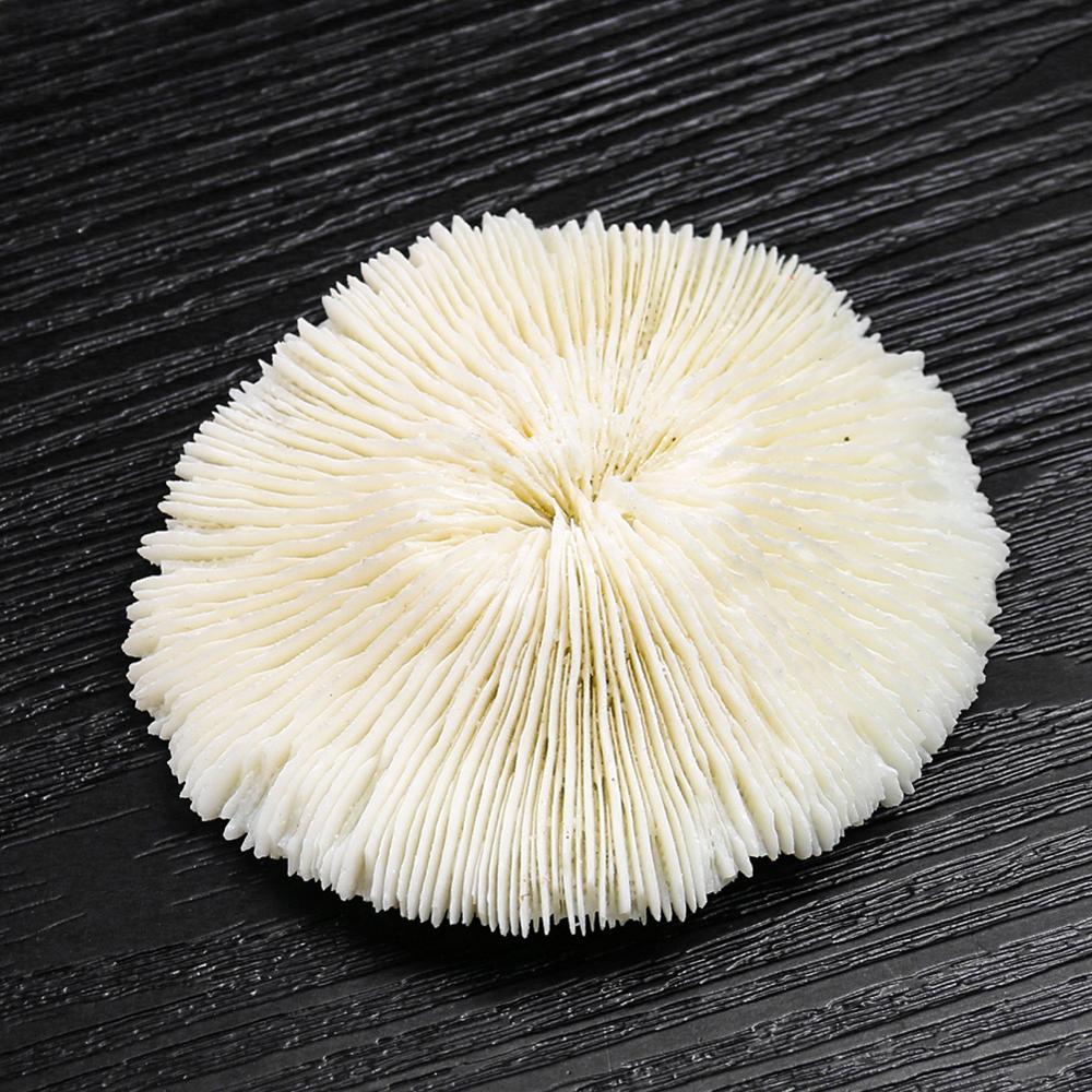 White-Coral-Sea-Round-Mushroom-Coral-Natural-Artifical-Fish-Aquatic-Pet-Supplies-Aquarium-Landscape-Tank-Ornaments Fehér Coral Sea Kerek Gomba Natural Mesterséges Fish Aquatic Pet Supplies Aquarium Táj Tank Díszek 8 10Cm - Image 1
