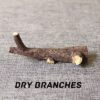 Dry branches