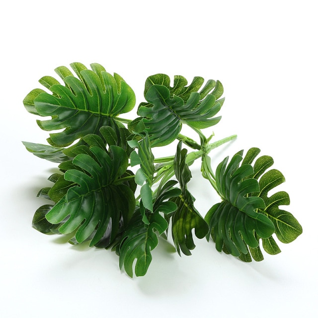 Monstera Green