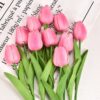 Tulip Pink