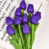 Tulip Dark Purple