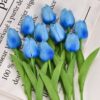 Tulip Light Blue