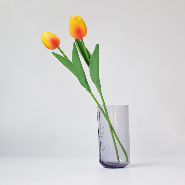 Tulip Sunset 2Pcs