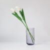Tulip White 2Pcs