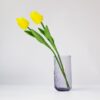 Tulip Yellow 2Pcs