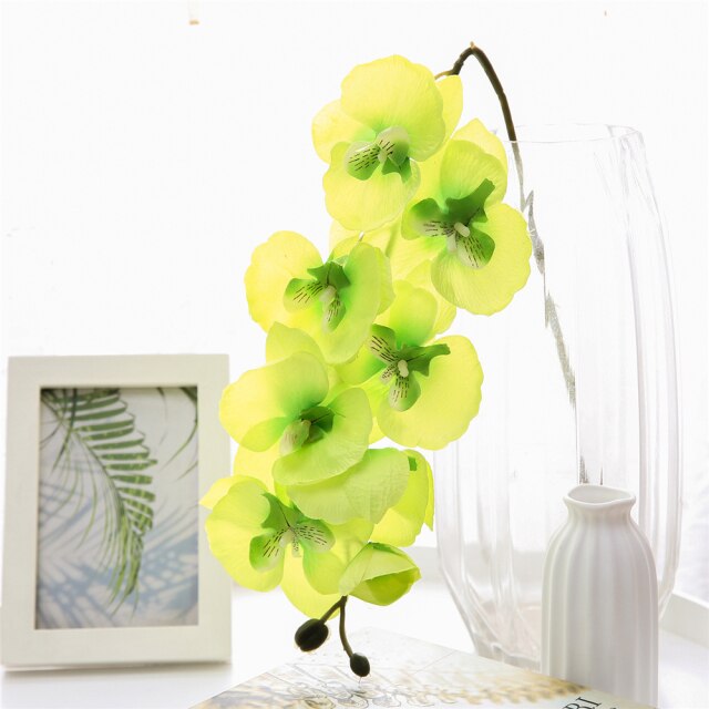 Green Phalaenopsis