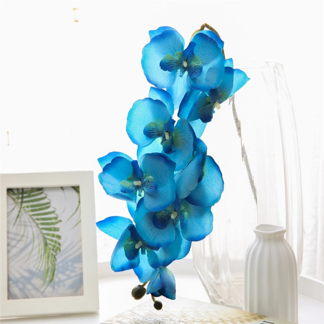 Blue Phalaenopsis