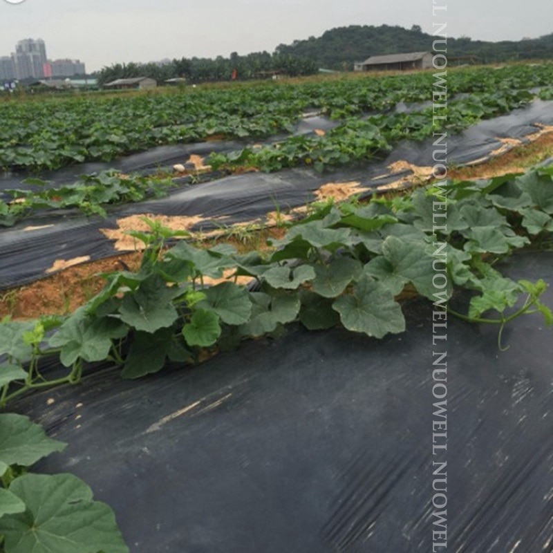 25M 0,6 ~ 2M Vastag 0,01Mm Mezőgazdaság Fekete Fólia Zöldségültetvény Műanyag Mulcsozó Növények Gyomirtás Tartsa Melegen Növő Film