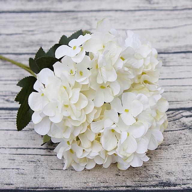 milk white