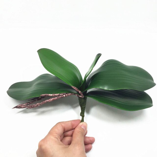 19cm leaf