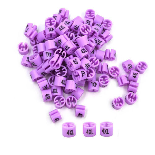 4XL Violet