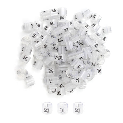 5XL-Clear