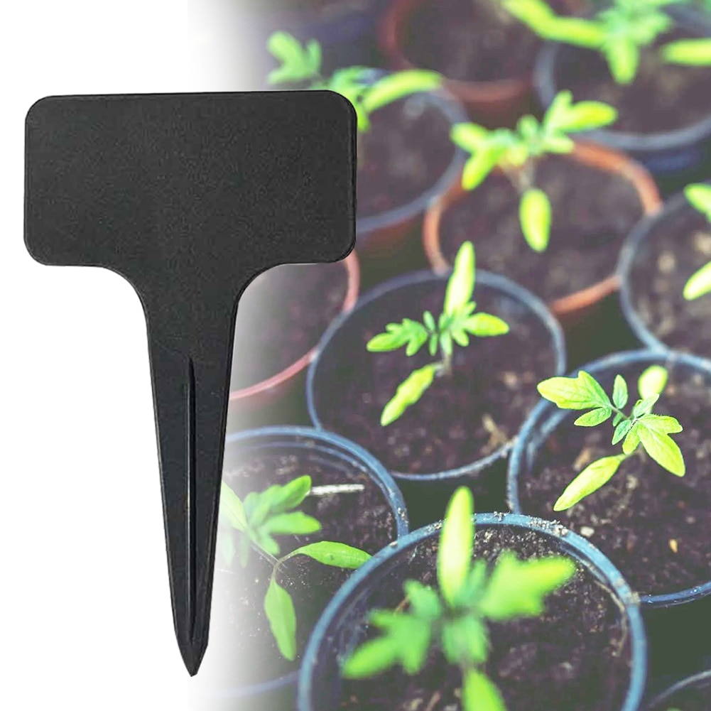 100Db Farm Pp Műanyag Zöldségcímkék Fekete Kopásálló Kertjelzők Növénycímkék T Típusú Tájkép Írás Kitöltés Anti Uv - Image 4