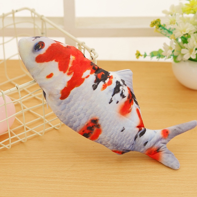 Koi Carp