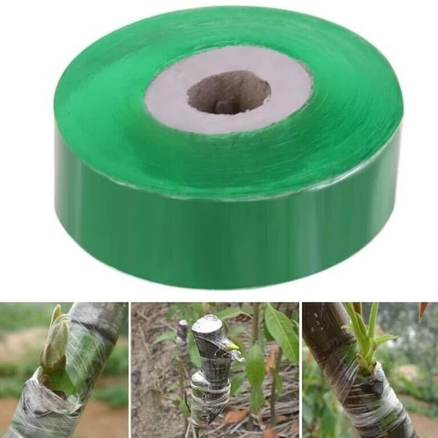 Green tapes