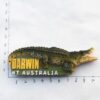 Darwin city