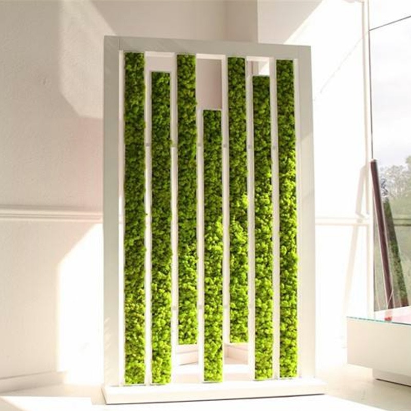 Kiváló Minőségű Mesterséges Zöld Növény Halhatatlan Virág Moha Fű Otthoni Nappali Dekoratív Fal Diy Mini Kiegészítők