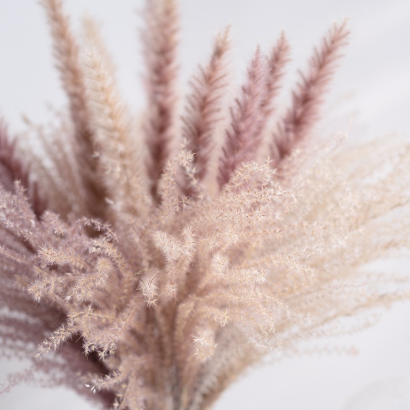 Valódi Búzadekoráció Természetes Pampák Nyúlfarkfű Fűben Szárított Virágok Esküvői Bulikhoz Barkácsolás Kézműves Typha Lagurus Ovatus Phragmites