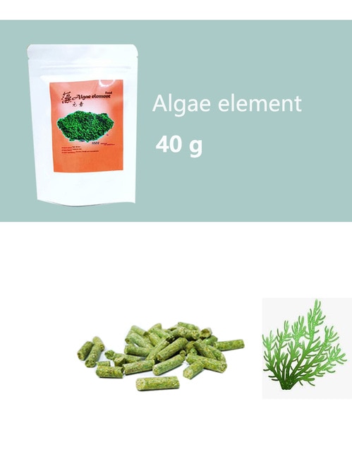 algae