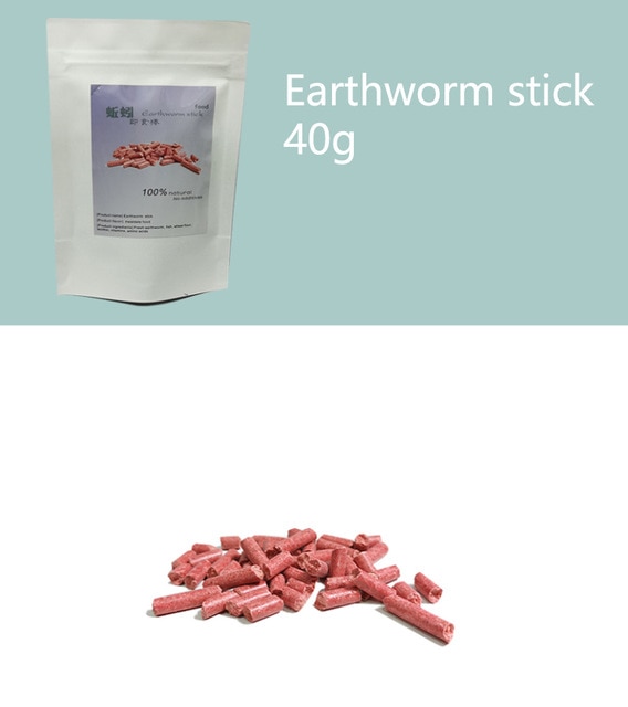 earthworm