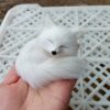 7x7cm white fox-351074