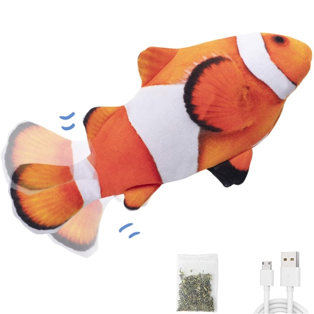 Clownfish