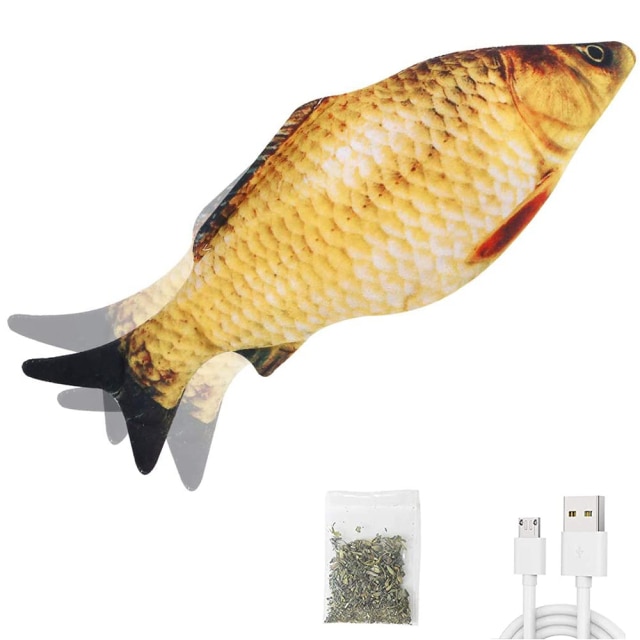 Crucian Carp