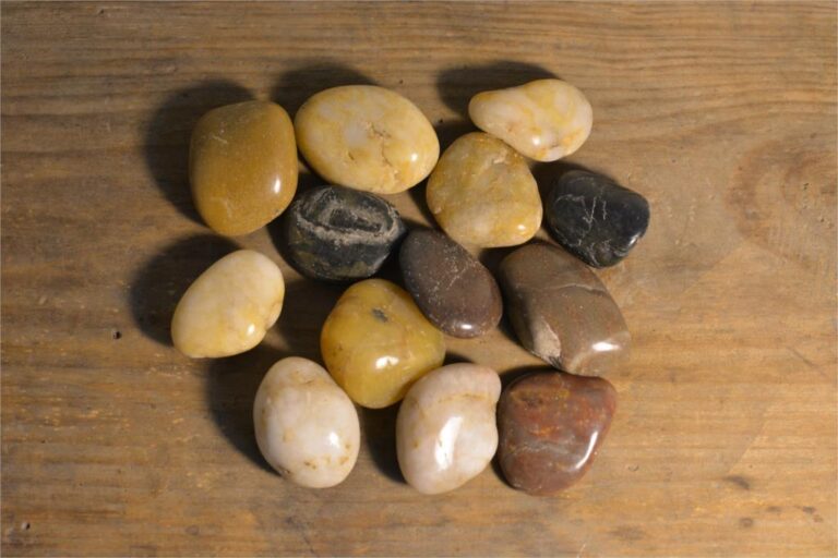 5 Darab, Zamatos Növények Kis Díszei, Libás Puha Kő Kerti Halastóhoz. Udvari Díszek - Image 3