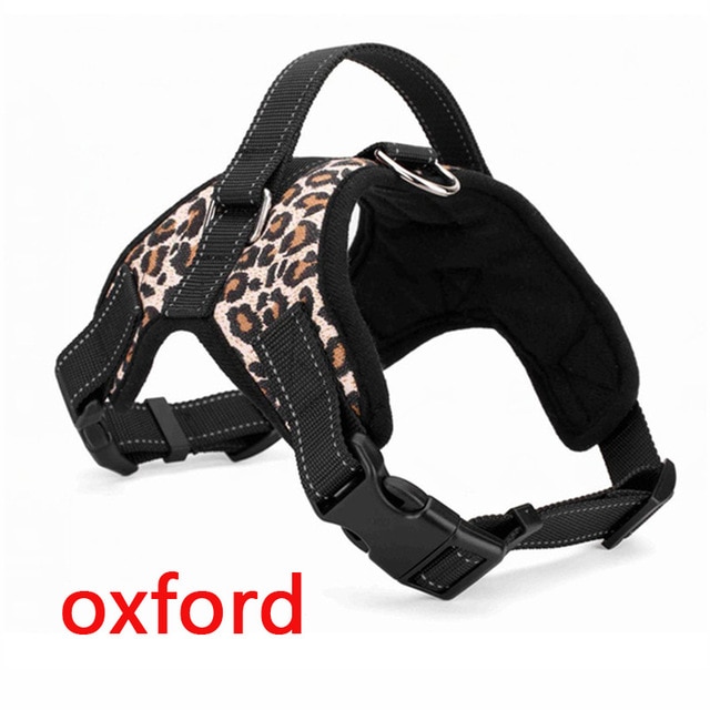 Leopard Oxford