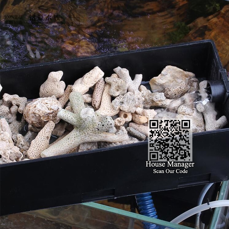 200G Természetes Zátony Korall Csont Akvárium Szűrő Közepes Biológiai Anyag Homok A Ph Állandó, Akváriumi Halak Tartályának Szűrésére - Image 3