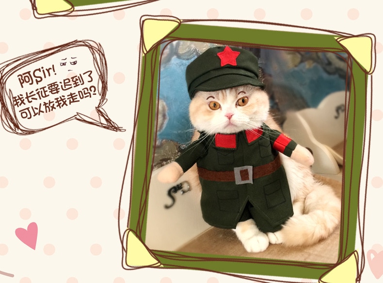 Eladó Macskák Ruhája Népi Felszabadító Hadsereg Kiskutya Kisállat Jelmez Ruhák Kínai Piros Katonák Jelmezes Ruhái - Image 2