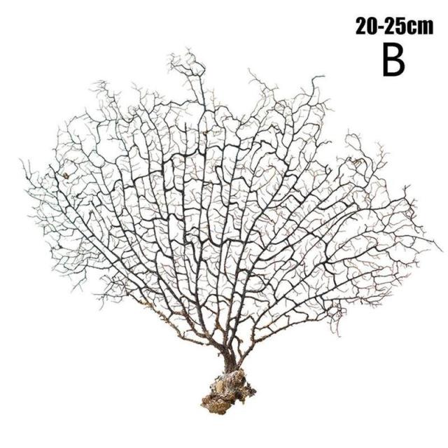 20-25cm