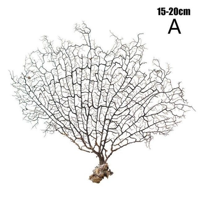 15-20cm