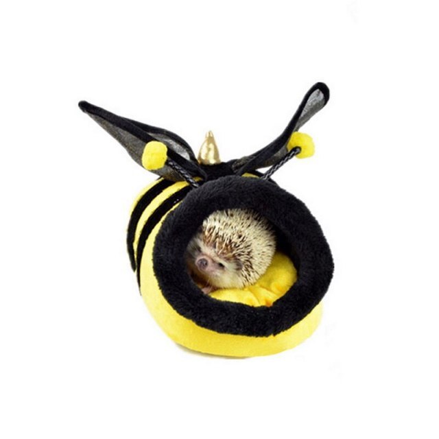 Wasp