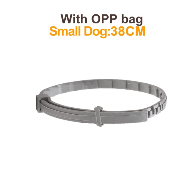 Dog S with OPP Bag