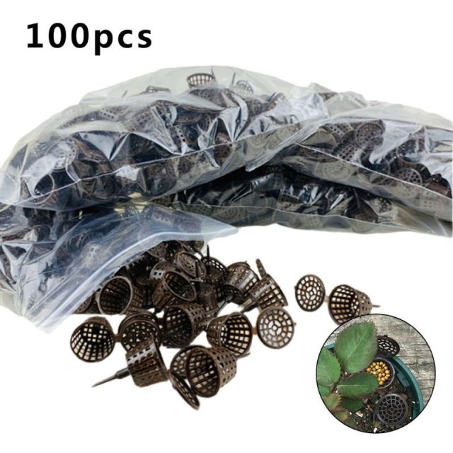 100pcs