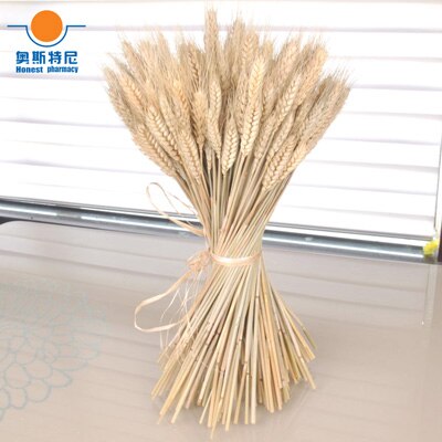 100pcs wheat ear