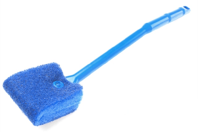 Blue Brush