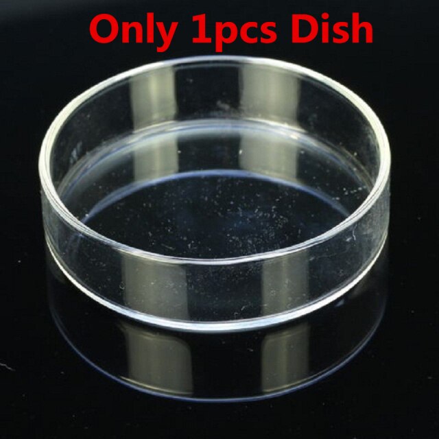 Only 1pcs Dish